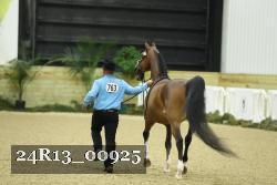 24R13_00925 thumbnail