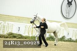 24R13_00928 thumbnail