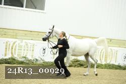 24R13_00929 thumbnail