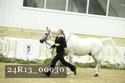 24R13_00930 thumbnail