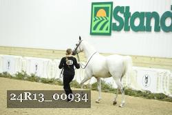 24R13_00934 thumbnail