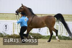 24R13_00935 thumbnail