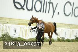 24R13_00937 thumbnail