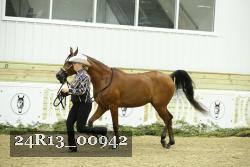 24R13_00942 thumbnail