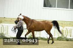 24R13_00943 thumbnail