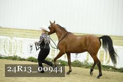 24R13_00944 thumbnail