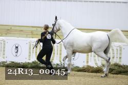24R13_00945 thumbnail