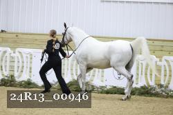 24R13_00946 thumbnail
