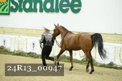 24R13_00947 thumbnail