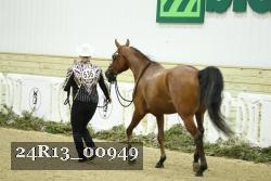 24R13_00949 thumbnail