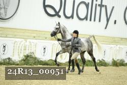 24R13_00951 thumbnail
