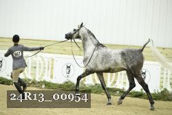 24R13_00954 thumbnail