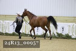 24R13_00957 thumbnail