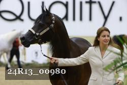 24R13_00980 thumbnail