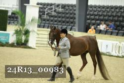 24R13_00983 thumbnail