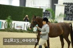 24R13_00984 thumbnail