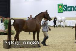 24R13_00986 thumbnail