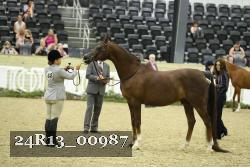 24R13_00987 thumbnail