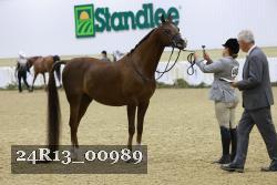 24R13_00989 thumbnail