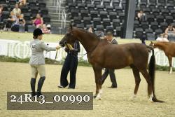 24R13_00990 thumbnail
