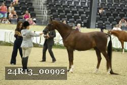 24R13_00992 thumbnail
