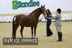 24R13_00993 thumbnail