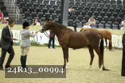 24R13_00994 thumbnail