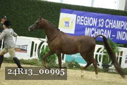 24R13_00995 thumbnail