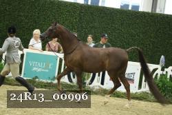 24R13_00996 thumbnail