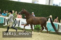 24R13_00997 thumbnail