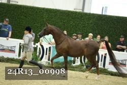 24R13_00998 thumbnail
