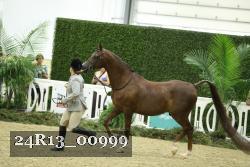 24R13_00999 thumbnail
