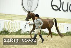 24R13_01002 thumbnail
