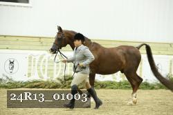 24R13_01003 thumbnail