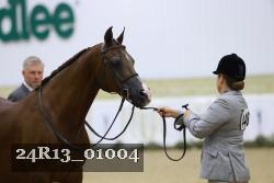 24R13_01004 thumbnail