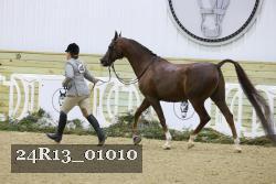 24R13_01010 thumbnail