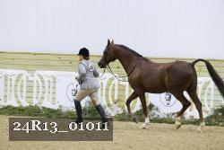 24R13_01011 thumbnail