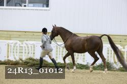 24R13_01012 thumbnail