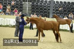 24R13_01014 thumbnail