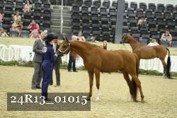 24R13_01015 thumbnail
