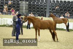 24R13_01016 thumbnail
