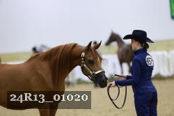 24R13_01020 thumbnail