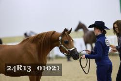 24R13_01021 thumbnail