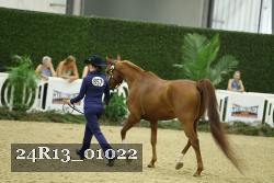 24R13_01022 thumbnail