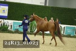 24R13_01023 thumbnail