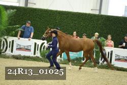 24R13_01025 thumbnail