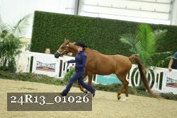 24R13_01026 thumbnail