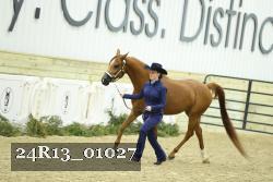 24R13_01027 thumbnail