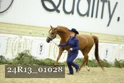 24R13_01028 thumbnail