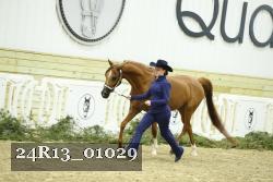 24R13_01029 thumbnail